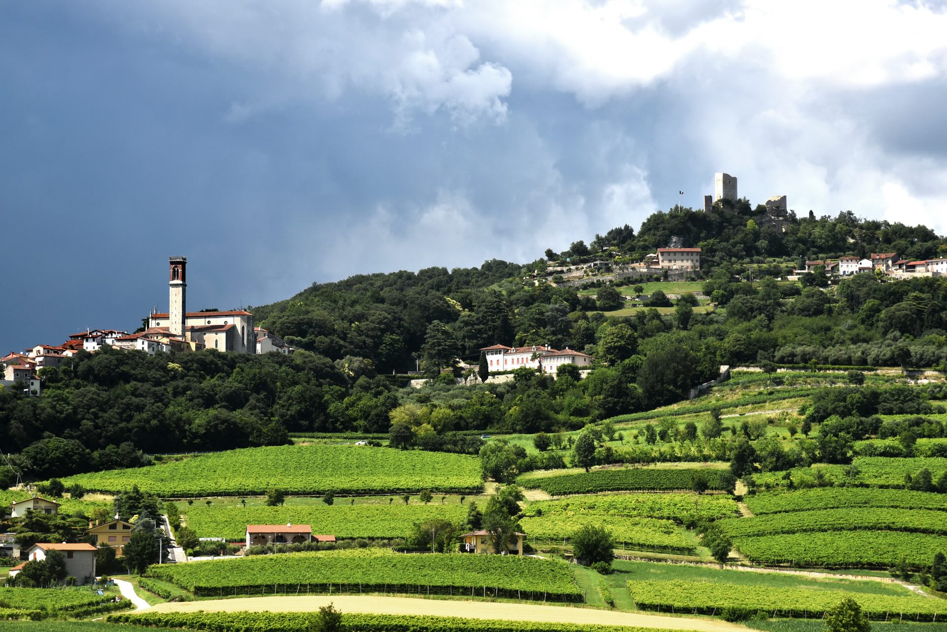 Colli Berici DOC Rocca Vescovi Brendola