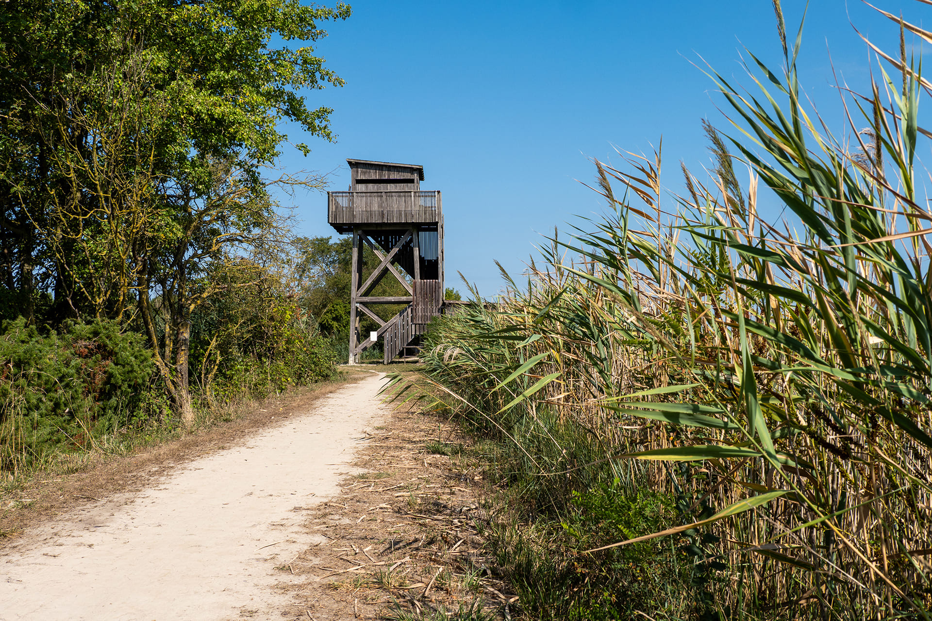 Turismo fluviale Laguna di Caorle Vallevecchia