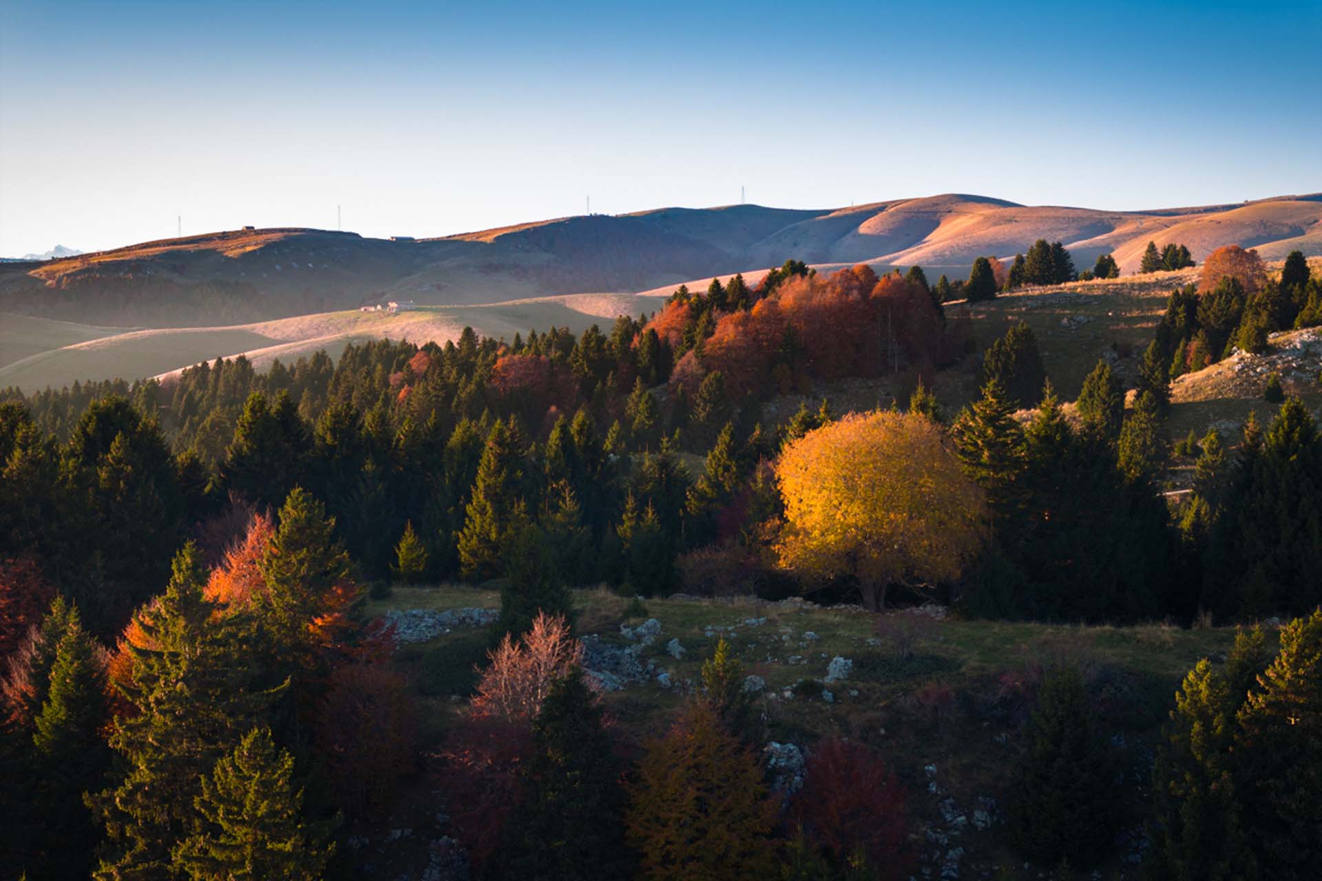 Lessinia Foliage 4