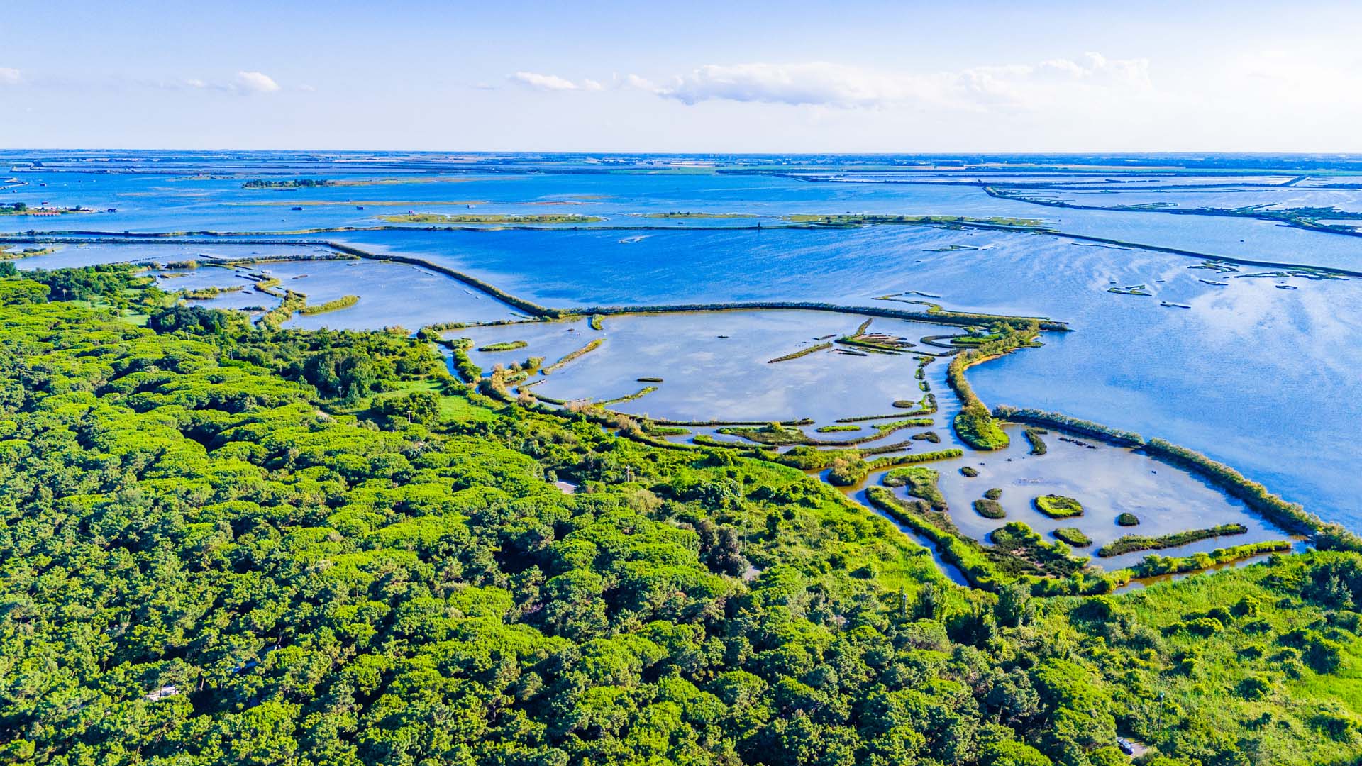 Barene Delta Po Rosolina