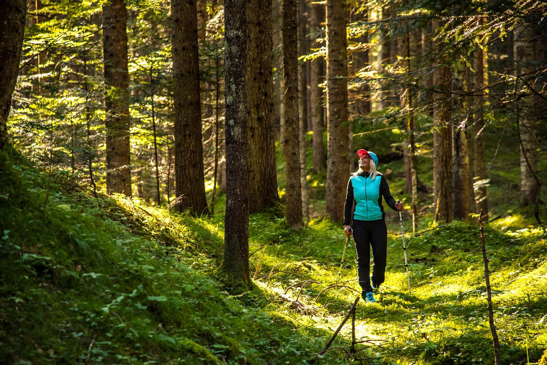 Cadore Auronzo Tre cime La Riserva Naturale Orientata di Somadida