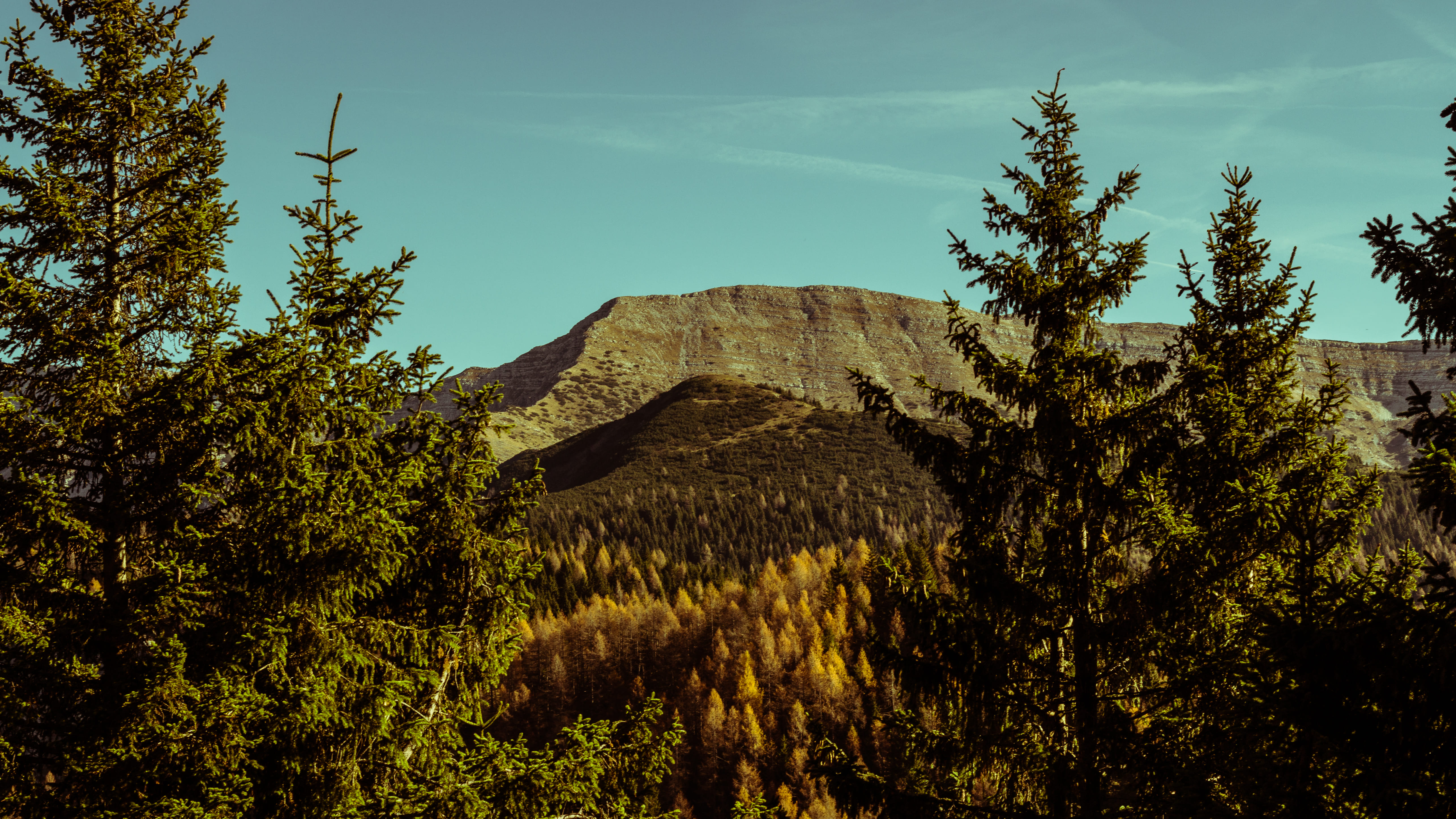 Foliage Altopiano di Asiago 7 Comuni Portule