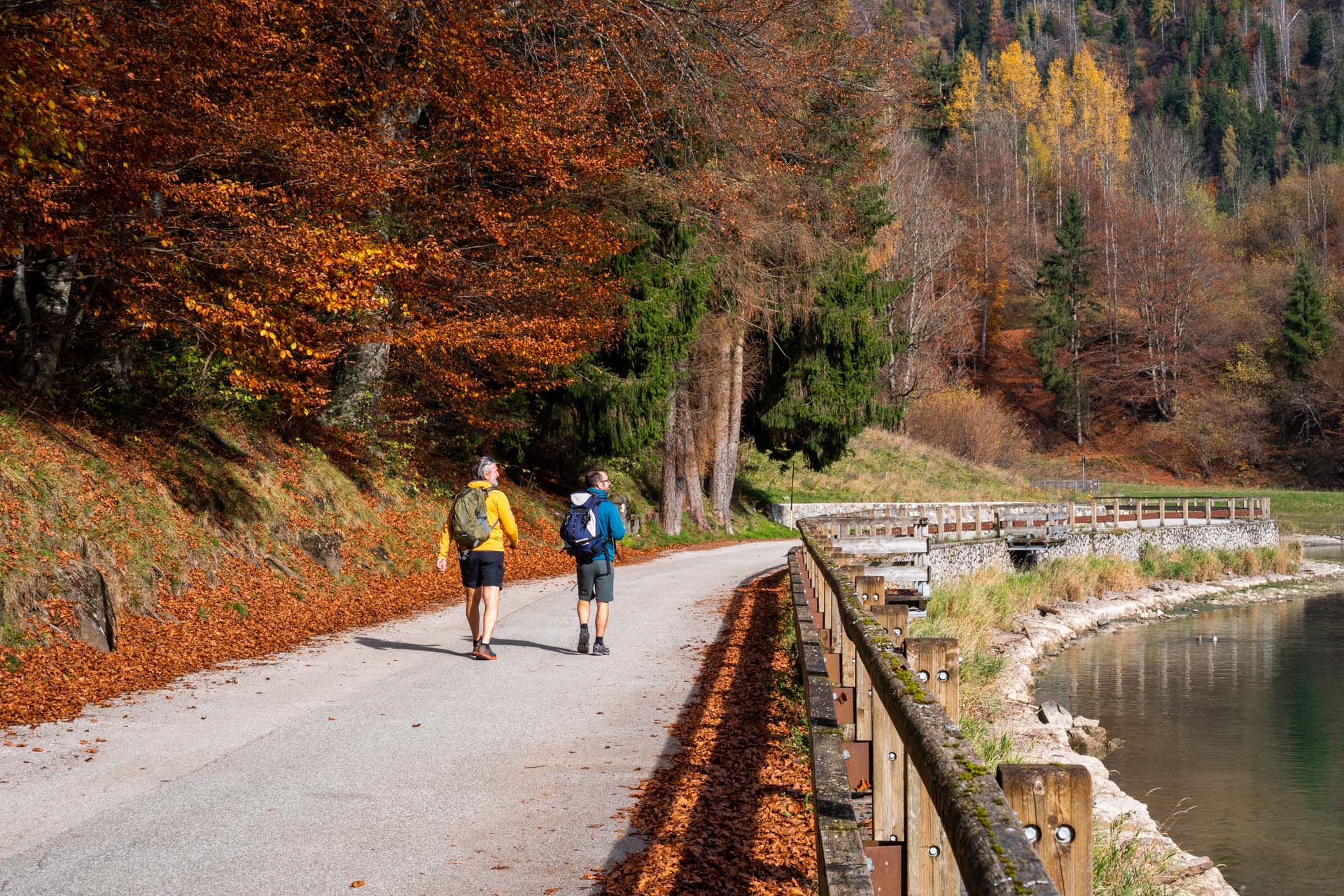Lago di Alleghe (Alleghe) cammino dolomiti autunno foliage