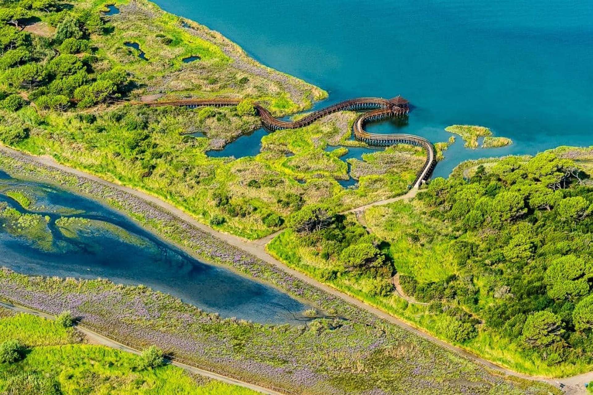 Passerella Porto Caleri vista dall'alto