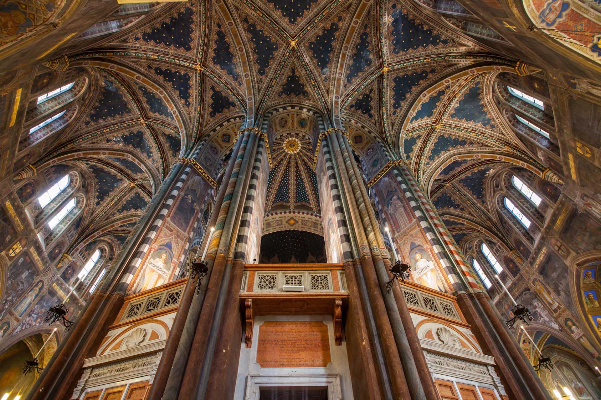 Padova Basilica di Sant'Antonio di Padova soffitto stellato