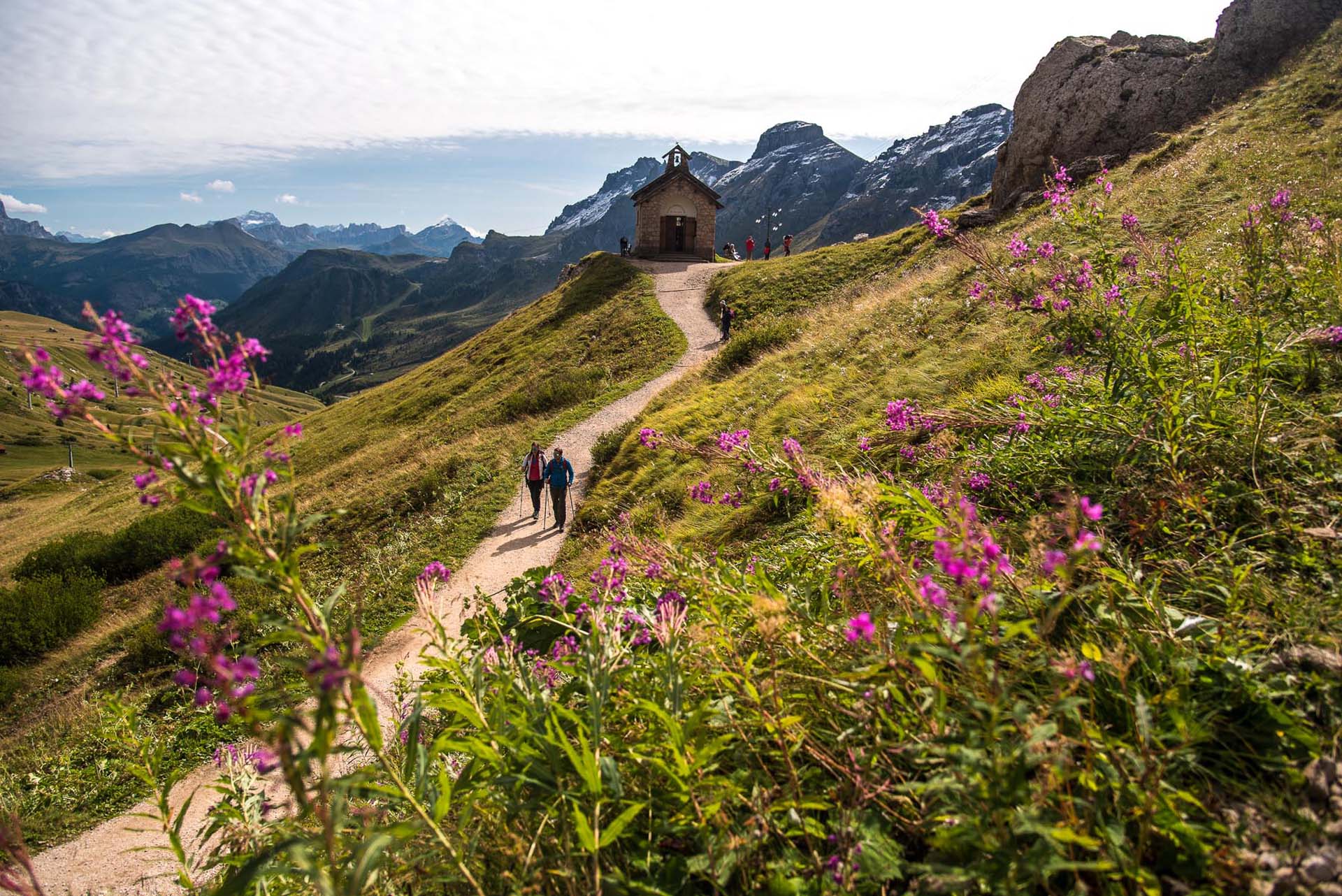 Cadore Auronzo Tre cime Escursionisti in cammino verso la Chiesetta di Passo Pordoi fiori