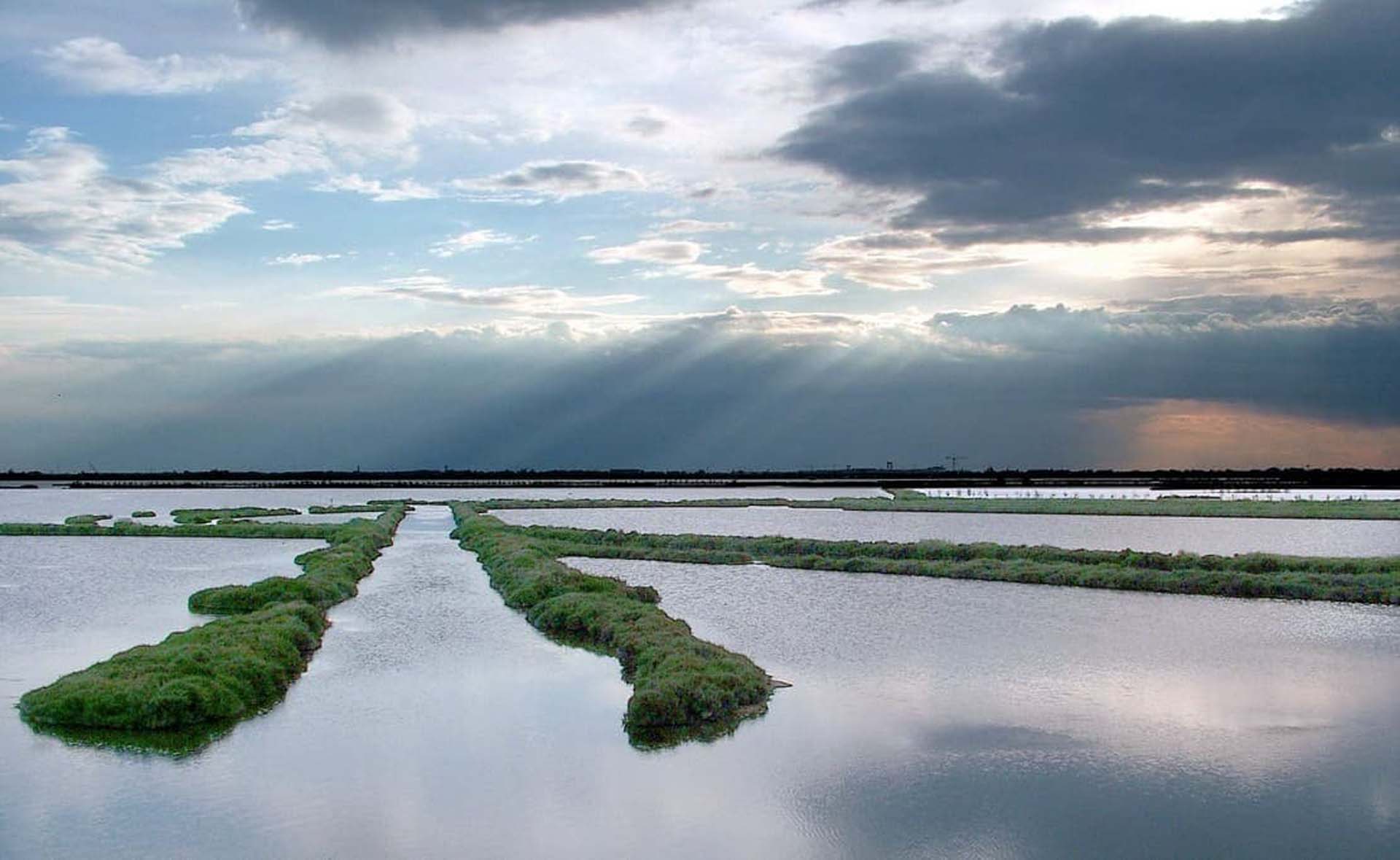 Barene Delta Po