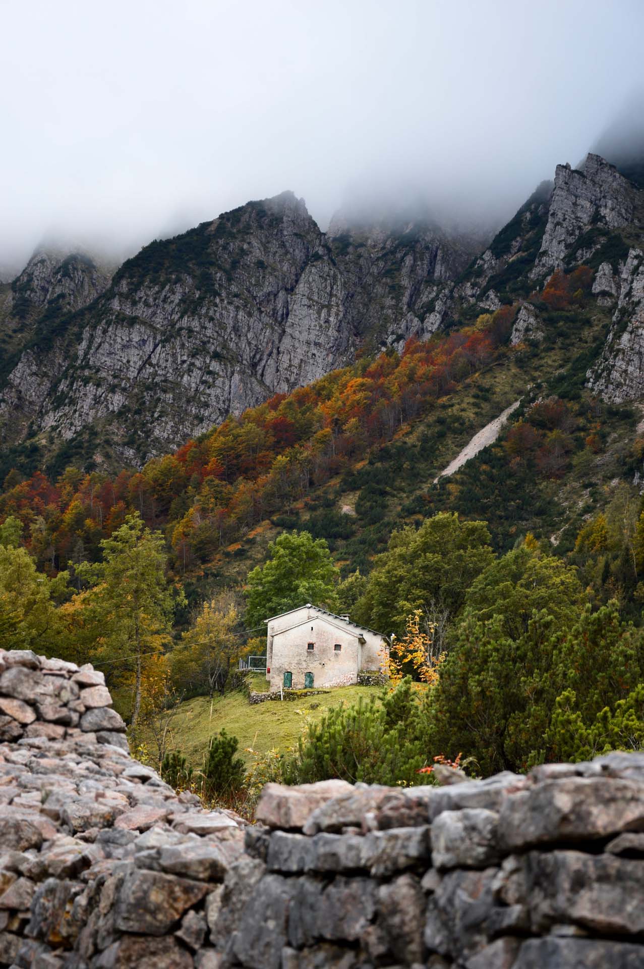 pianoro gazza sentiero grandi alberi recoaro terme