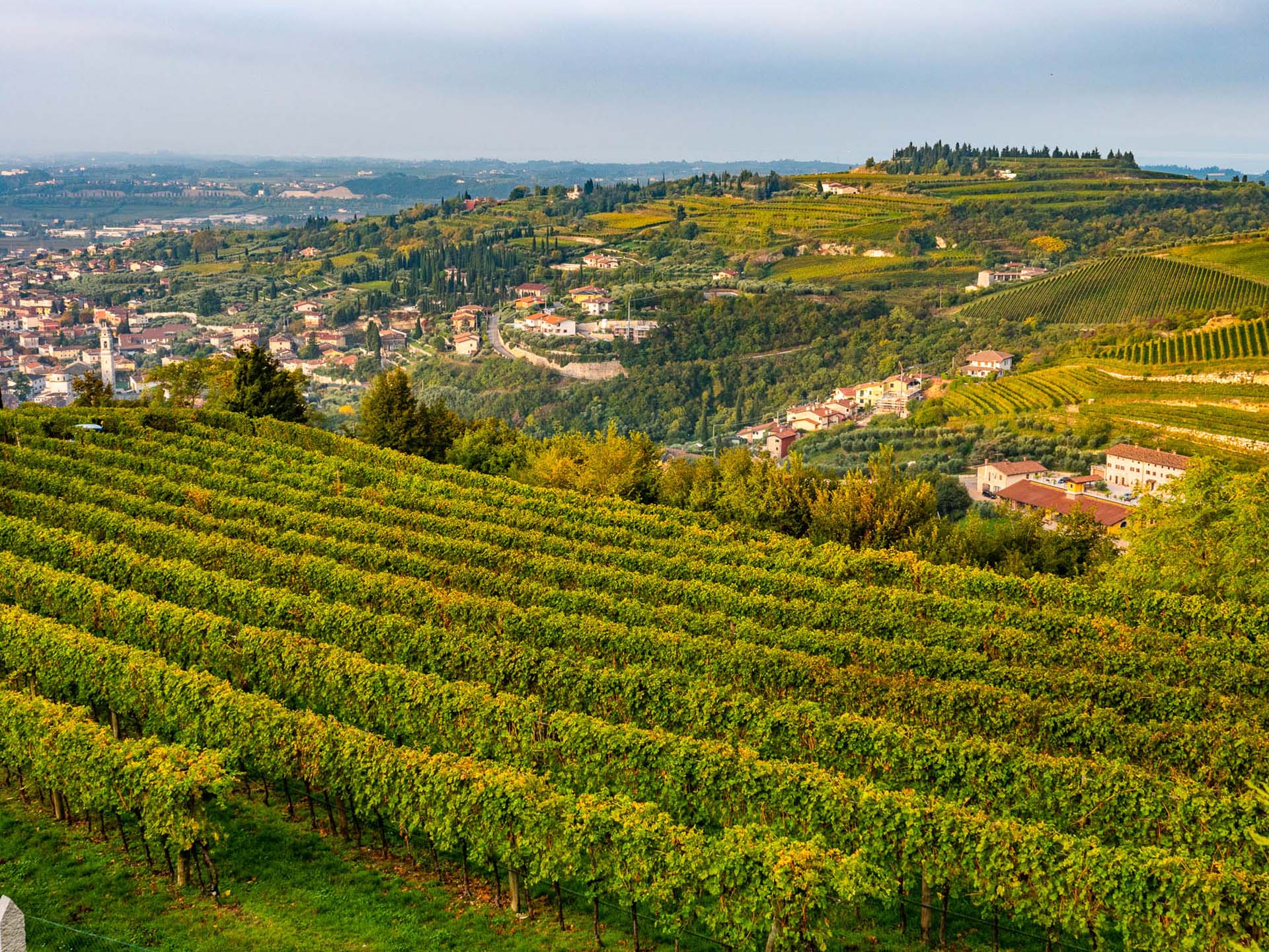 Valpolicella Vigneti della Valpolicella visti da San Giorgio