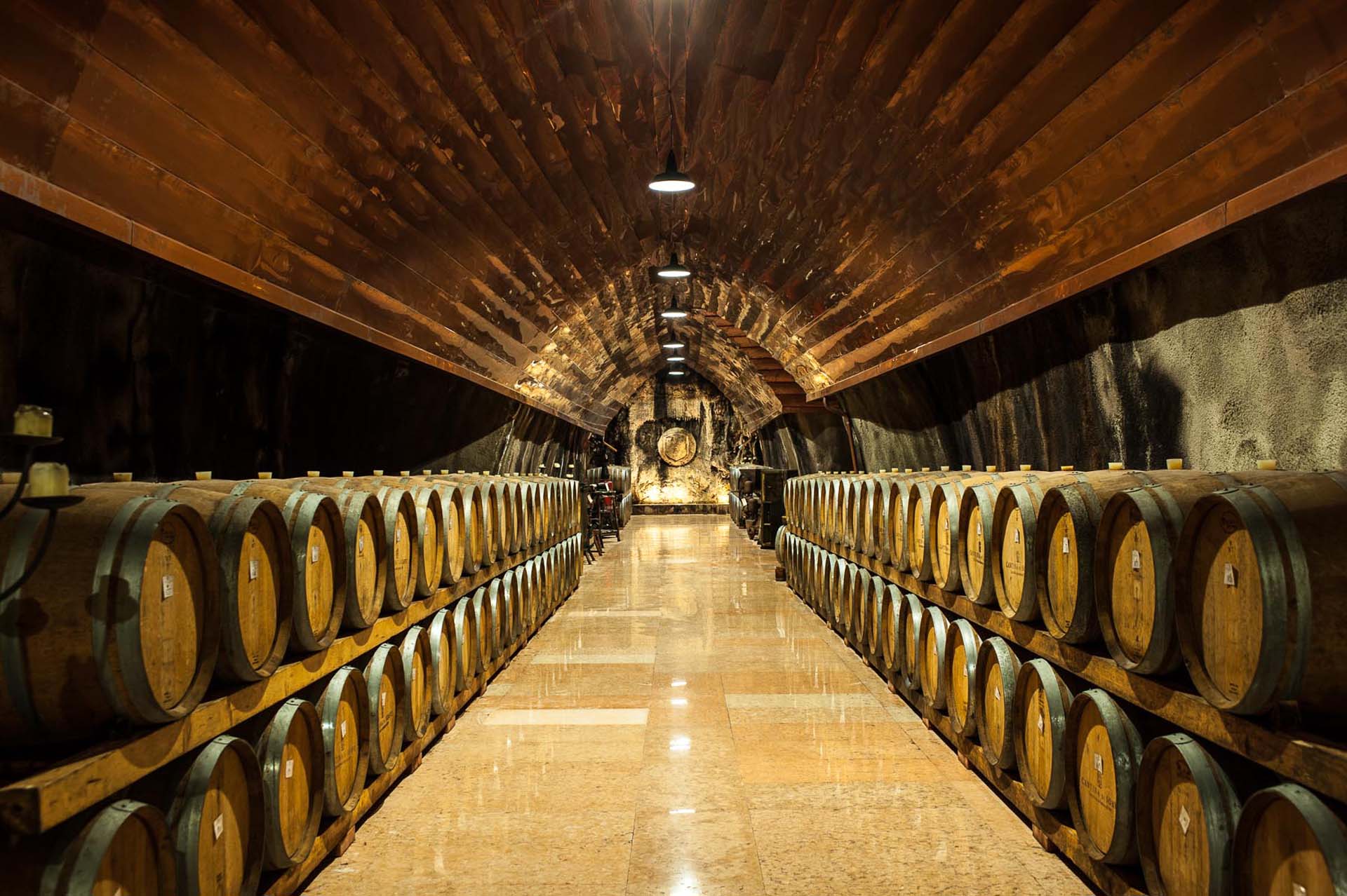 Prodotti tipici Cantina di Soave botti