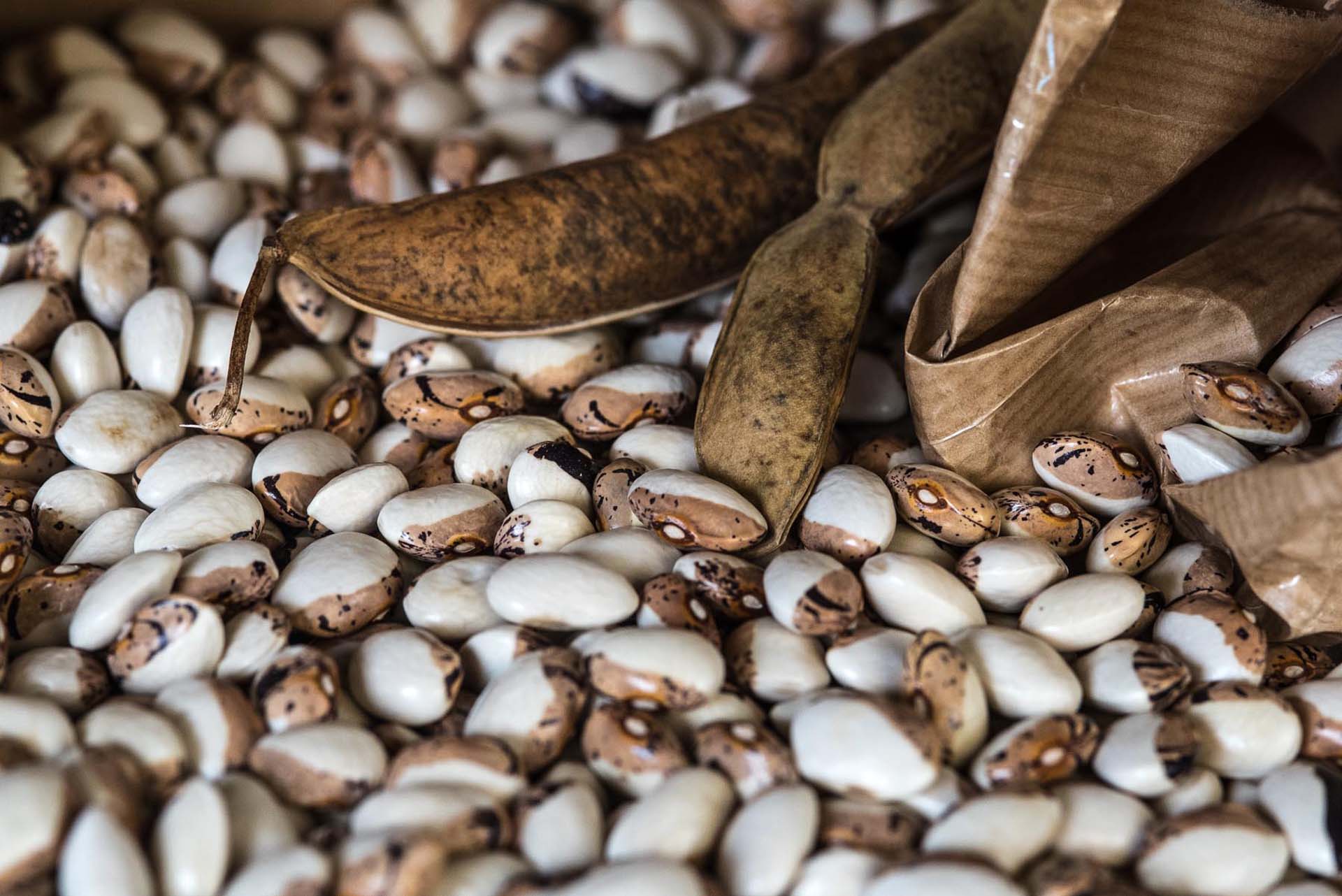 Prodotti tipici Fagioli della Val di Zoldo