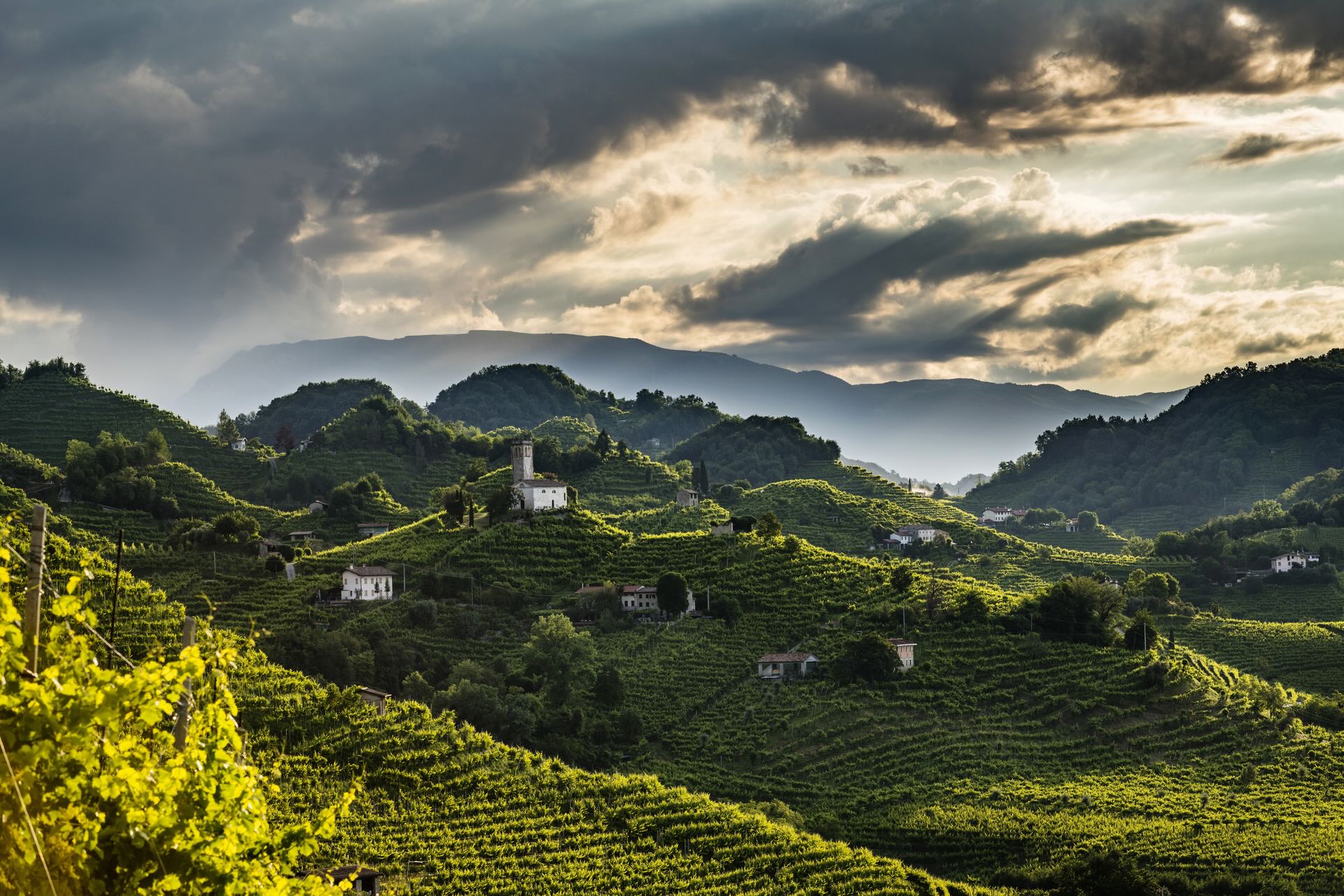 Colline del Prosecco