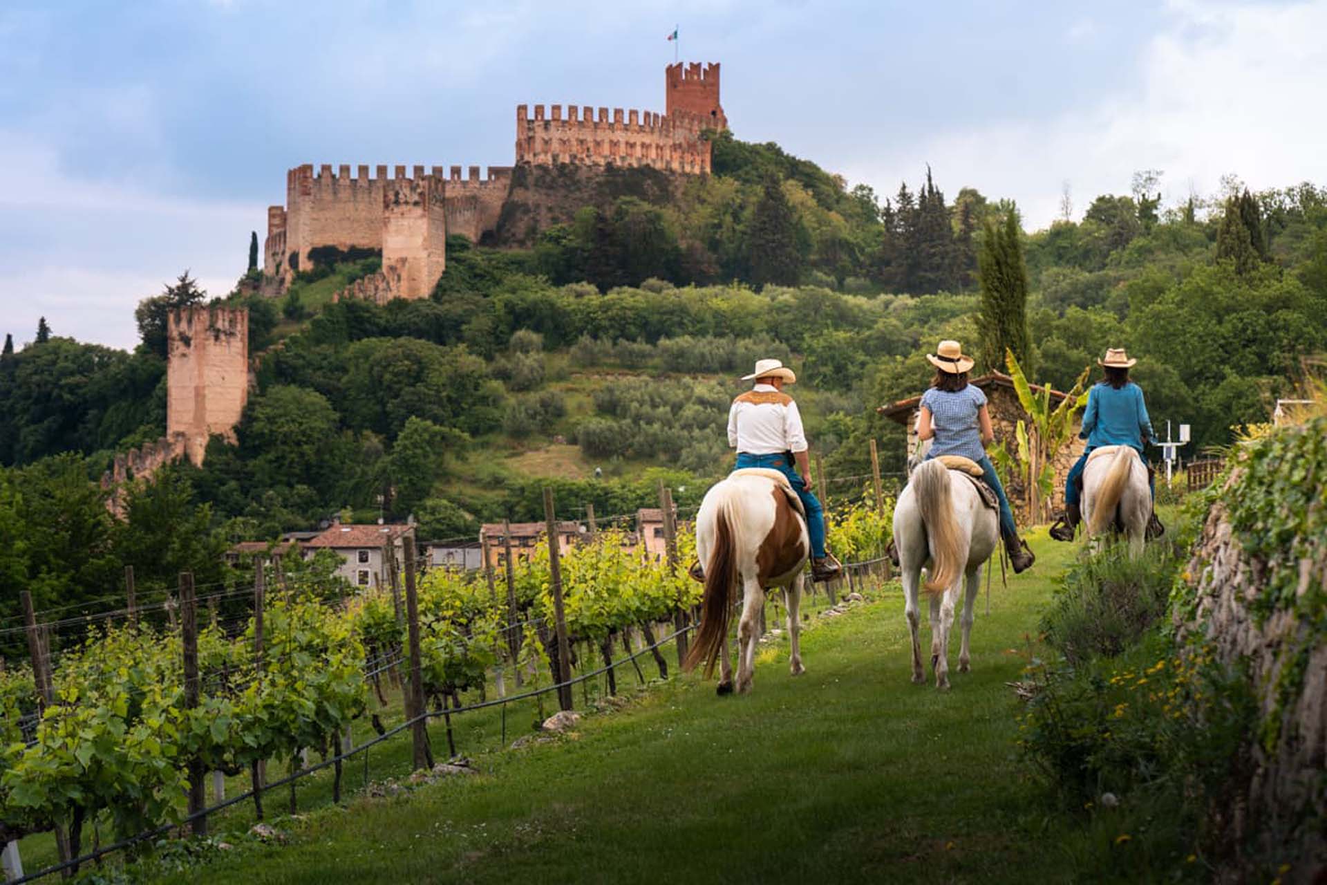 Cavallo Soave 1
