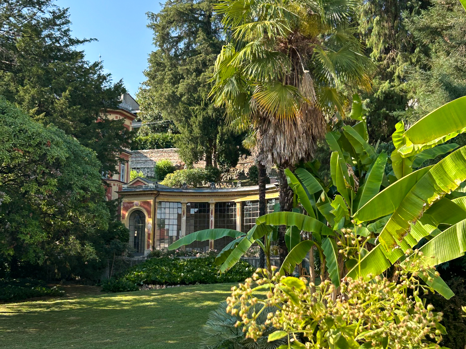 MN_Giardino Jacquard Rossi Schio