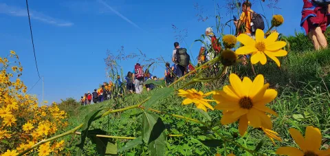 Pellegrini in cammino ad Anguillara Veneta - Tappa Monselice-Rovigo, durante il cammino partecipativo Antonio2022