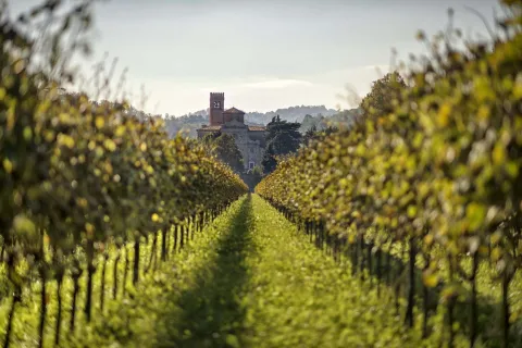 Castello di San Martino della Vaneza tra i vigneti dei Colli Euganei