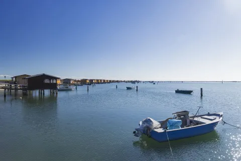 Fila di cavane lungo la Sacca di Scardovari con Barca in primo piano