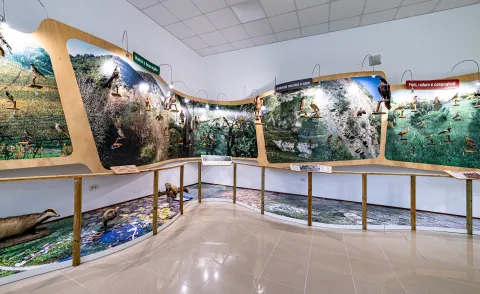 Sala del museo