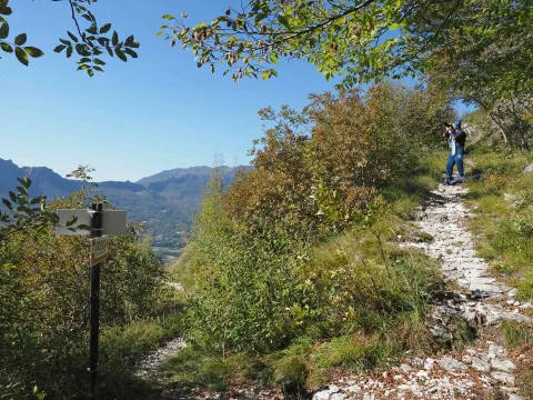 Il Cammino lungo il sentiero che si inerpica sul vecchio Costo per giungere alla località di Campiello.