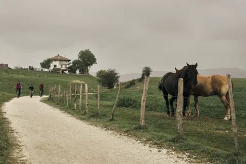Strada del vecchio trenino