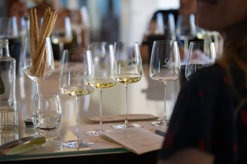 Calici di Lugana DOC pieni durante una degustazione di vini