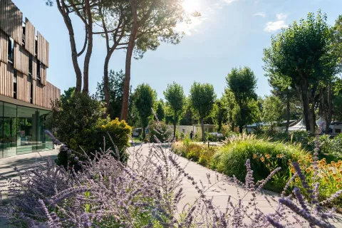 Giardino del Camping Ca' Savio a Cavallino Treporti