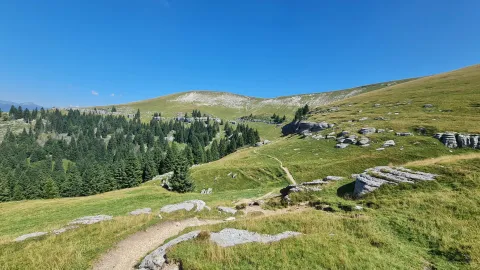 Monte Fior, nel comune di Foza è una storica Cima dell'Altopiano di Asiago 7 Comuni, teatro di battaglie della Prima Guerra Mondiale e meta escursionistica