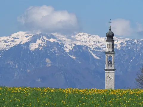 Il campanile del paese di Canove; sullo sfondo il monte Pasubio ancora innevato nel mese di maggio e i prati dell'altopiano con i fiori di tarassaco.