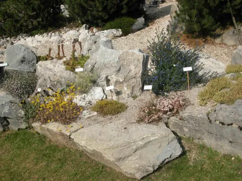 Vista habitat rocce calcaree Giardino  Lorenzoni