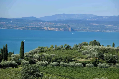 Scorcio del Lago di Garda dai vigneti di Garda DOC a Bardolino