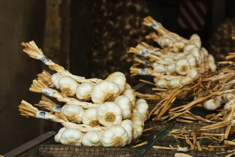 Trecce di Aglio Bianco Polesano DOP