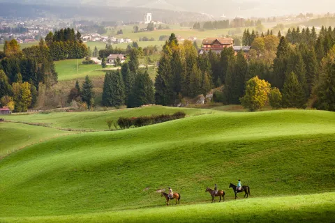 Escursione a cavallo tra i pascoli dell'Altopiano di Asiago 7 Comuni