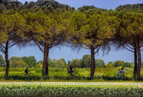 In bici nella Pineta di Bibione