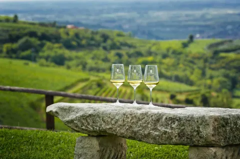 Bicchieri di Soave DOC appoggiati su una panchina in pietra con i vigneti sullo sfondo