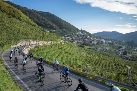 Ciclisti tra le colline di Valdobbiadene