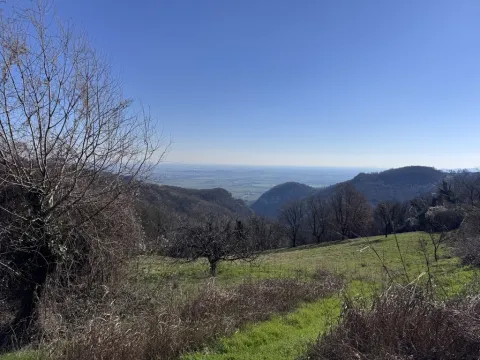 Panorama dei Colli Berici da Longare