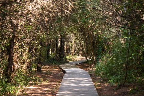 Laguna di Caorle - Oasi Vallevecchia