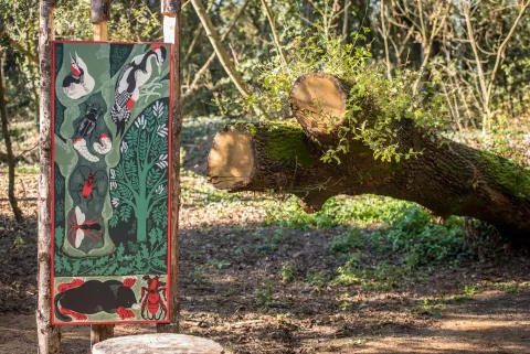 Installazione presso Bosco Nordio a Chioggia