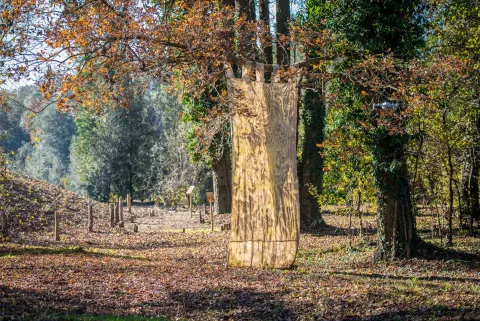 Installazione presso Bosco Nordio a Chioggia