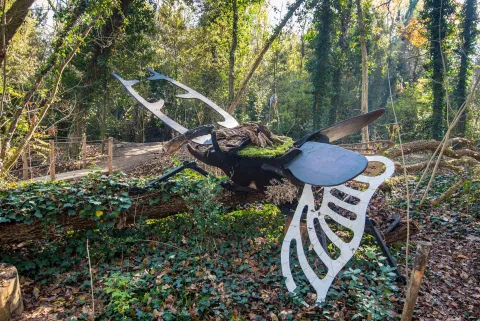 Installazione presso Bosco Nordio a Chioggia