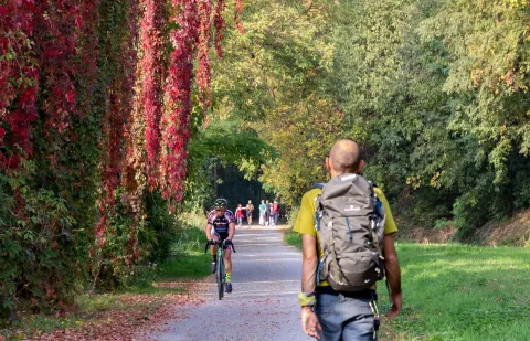 Persone a piedi e in bicicletta su sentiero con foliage
