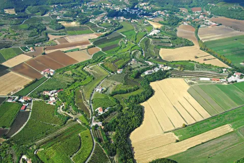 Scorcio dei vigneti Arcole DOC  dei campi coltivati di Costozza dall'alto
