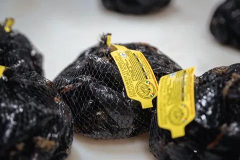 Sacchetti di Cozze di Scardovari