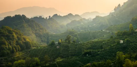 Panoramica dei vigneti sui terrazzamenti delle Colline del Prosecco di Conegliano e Valdobbiadene