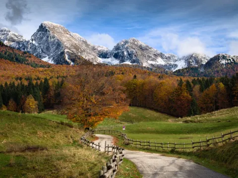 Foliage Cansiglio Tambre con sentiero e Dolomiti sullo sfondo