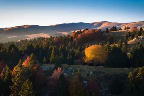 Paesaggio con foliage in Lessinia al tramonto