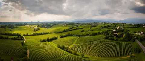 Vigneti e Colline del Prosecco di Valdobbiadene in estate