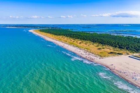 Spiaggia e pineta di Rosolina Mare