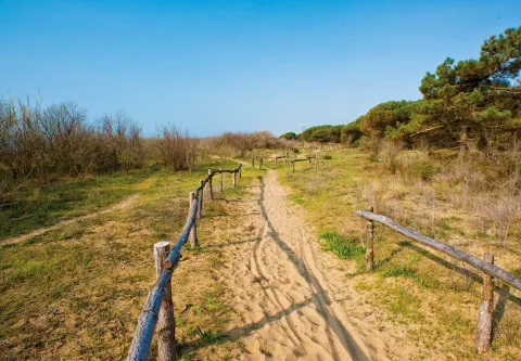 Sentiero sulla spiaggia di Eraclea Mare
