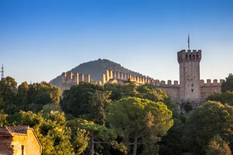 Particolare del Castello Carrarese di Este